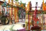temple news