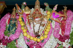 திருச்செந்தூர் பதிகம்