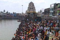 மாசி மகம்